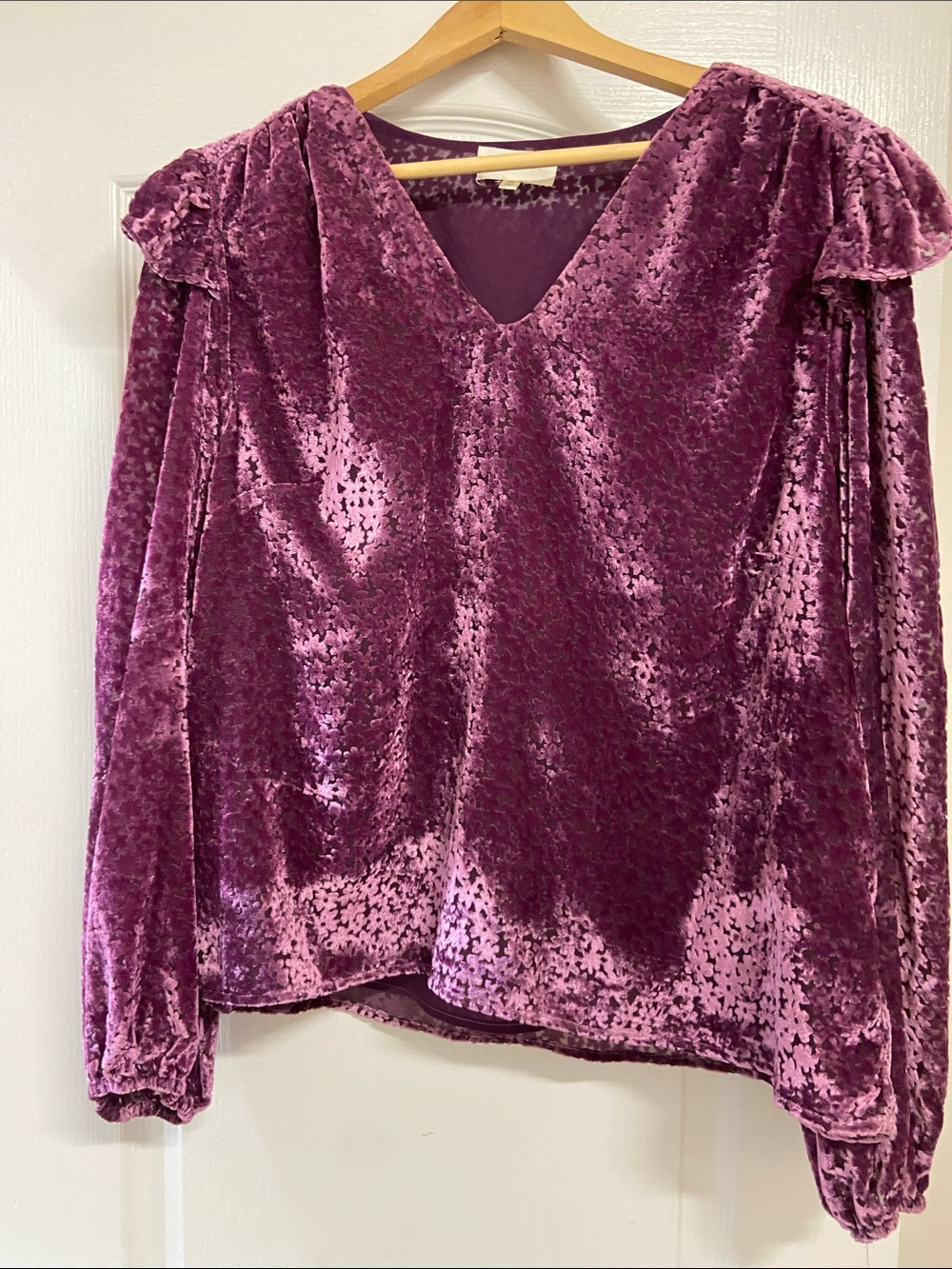Melloday size XL fits smaller Plum Velvet V-Neck Long Sleeve Top - Women's